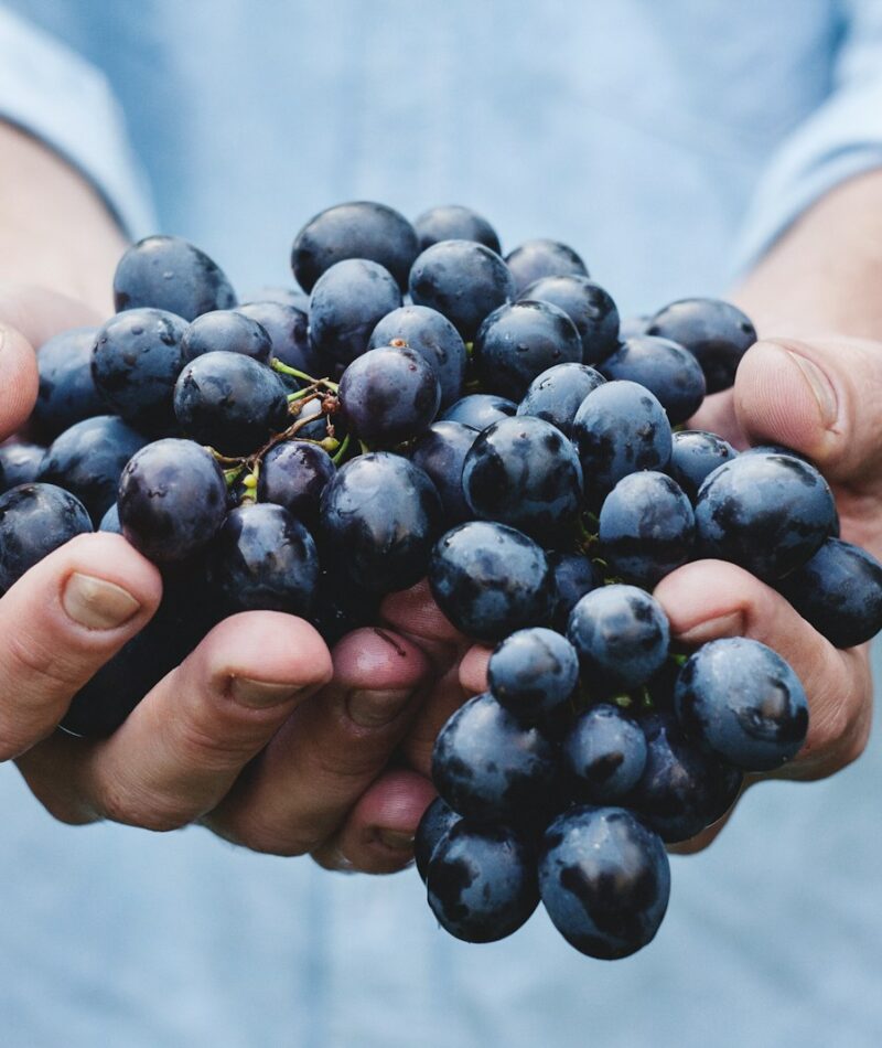 person holding grapes